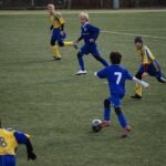 517972223 10162673392038604 4736454185673839162 n