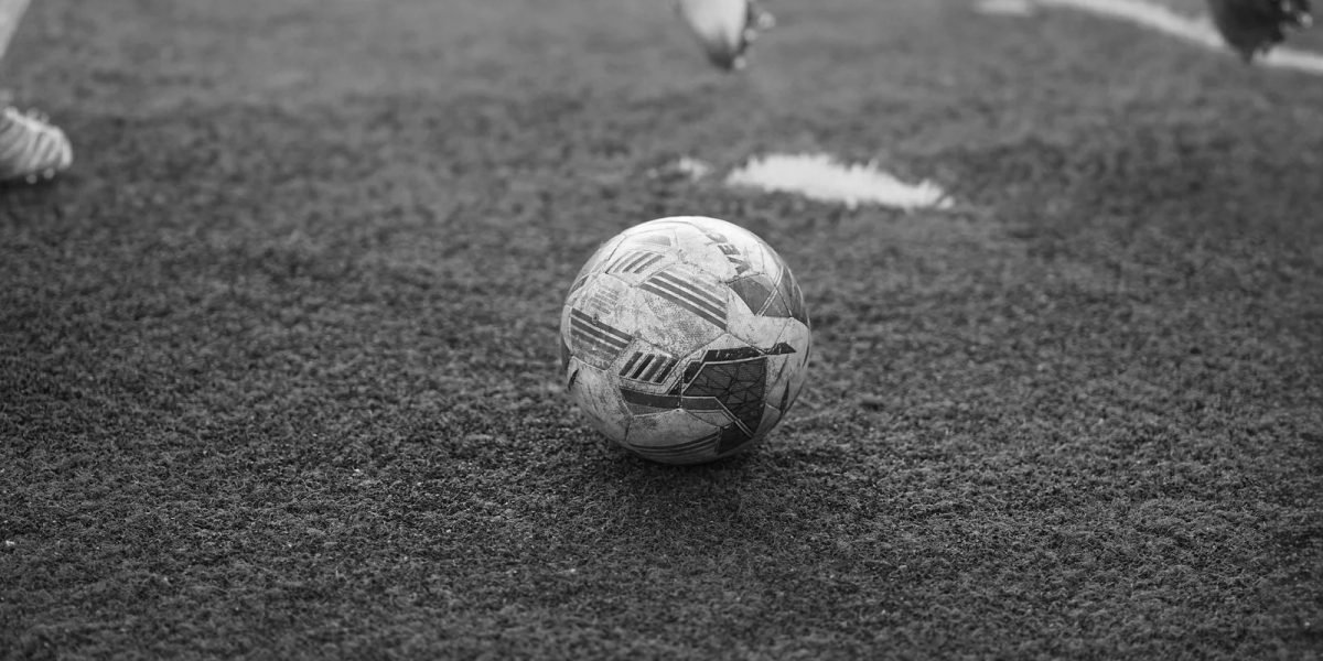 pexels photo 29873486 29873486